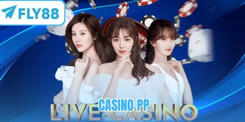 Casino PP - Sảnh game trực tiếp chất lượng vượt trội